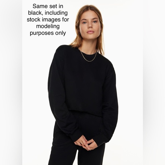 Aritzia TNA Sweatsuit Set - Mullein - Picture 9 of 12